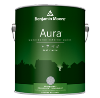 Aura Exterior Paint Flat Flat (629)