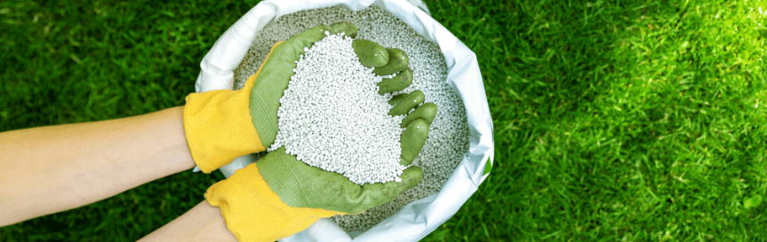 When To Fertilize Your Lawn