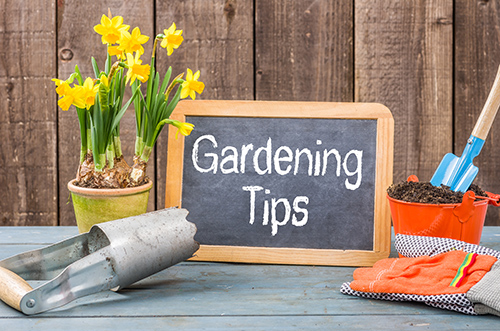 Monnick Supply - Gardening Tips