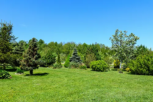 Monnick Supply - Healthy Lawn