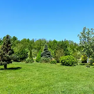 Grow and Maintain a Healthy Lawn
