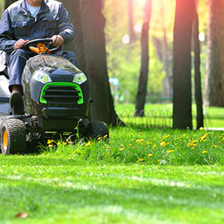 Spring Lawn Care for Massachusetts Lawns