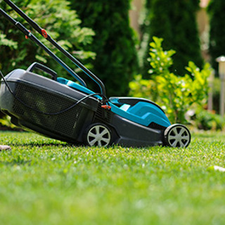 Spring Lawn Care Tips