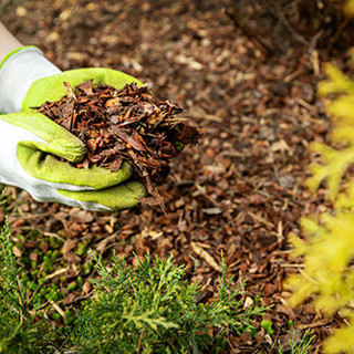 Mulch Don't Rake: Save Time and Help Your Lawn
