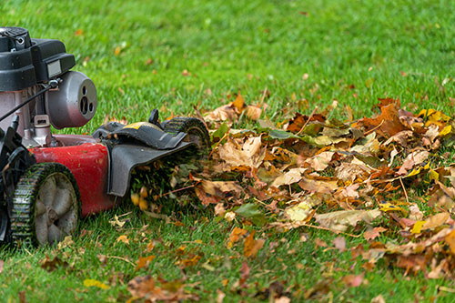 Monnick Supply - Mulching Leaves with Lawn Mower