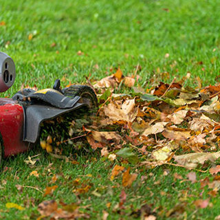 50 Crucial Fall Maintenance Tasks