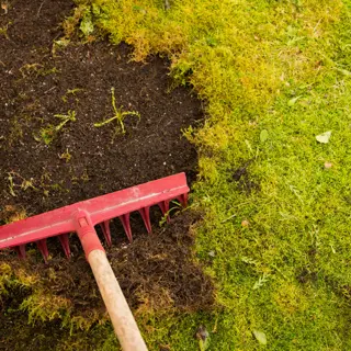 The Best Portable Hand Tools for Spring Yard Cleanup in Massachusetts