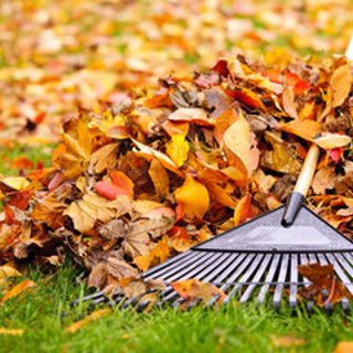 Leaf Raking Tips