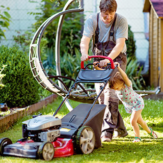 Summer Lawn Care Plan