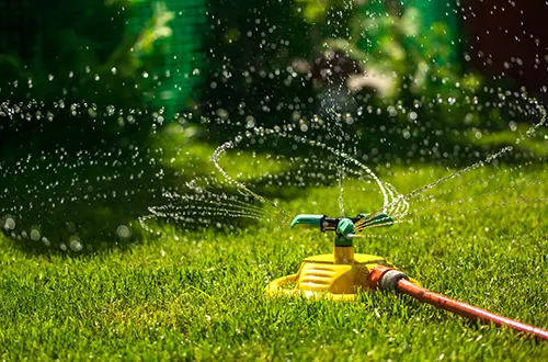 Monnick Supply - Watering the Lawn: How to Tell If You've Watered Enough